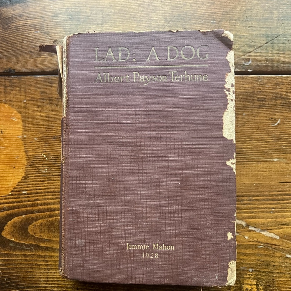 Vintage Brown 'Lad: A Dog' Book by Albert Payson Terhune